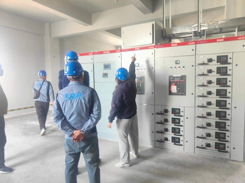 African Client Delegation Visits Our Company to Inspect the "Sanmu" Chemical Project Construction