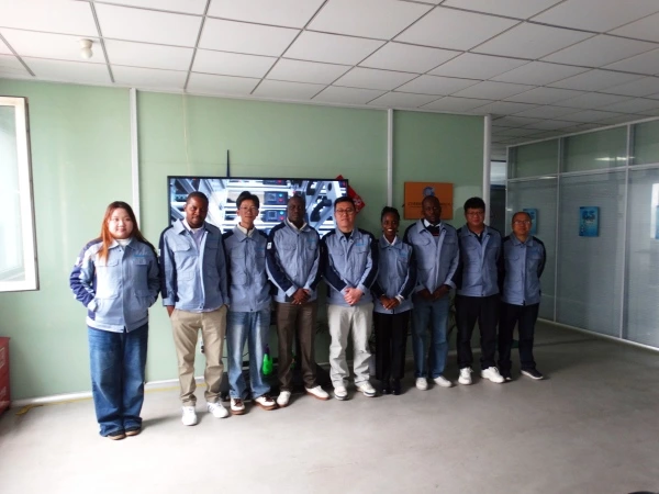 30kW Inverter Breakthrough: Zimbabwe Power Stability Solved in Strategic Cooperation